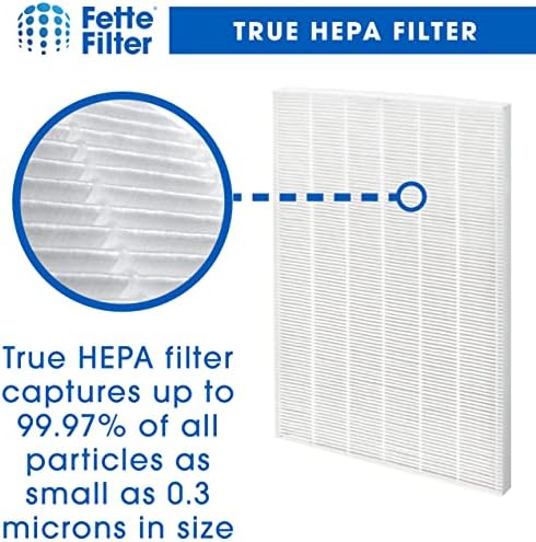 Filtro Fette-D480 Premium True Hepa H13 Filtro de substituição D4 Compatível com o purificador de ar Winix D480 Número da peça 1712-0100-02, 1712010002. 2 HEPA verdadeiro e 8 filtro de carbono ativado