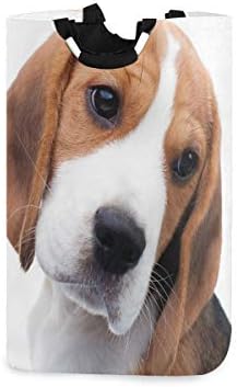 Alaza Beagle Puppy Lavanderia Lavanderia Bolsa Bolsa Colhida Com Handles Roupas Duráveis ​​Durável A organização de cestas sujas para banheiros para casa