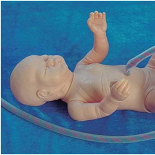 ZMX Modelo de Cuidado de Cordamento Umbilical Avançado de Cordamento Umbilical - Modelos de Treinamento Médico de Cuidados com Baby Alto - Para Neonatologia Baby Care Manikin Neonatal Manikin