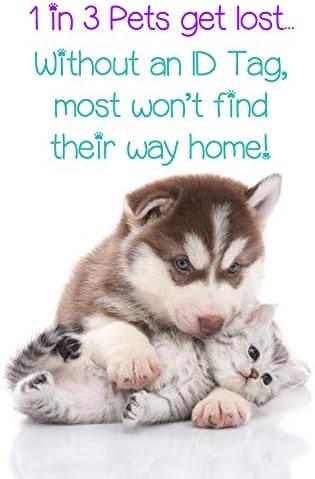 Chewbacca Pet Id Dog Tag Personalizado para seu animal de estimação