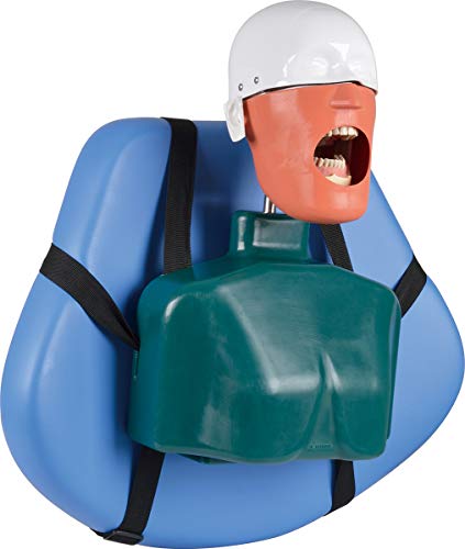 Tjiris Dental Phantom Head Dental Simulator Unidade dental manikin com torso