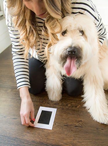 PEARHEHHT PET PET PAW PRIMENTO Clean-Touch Task Pad e cartões de impressão, para gatos ou cães de pequeno porte, presentes