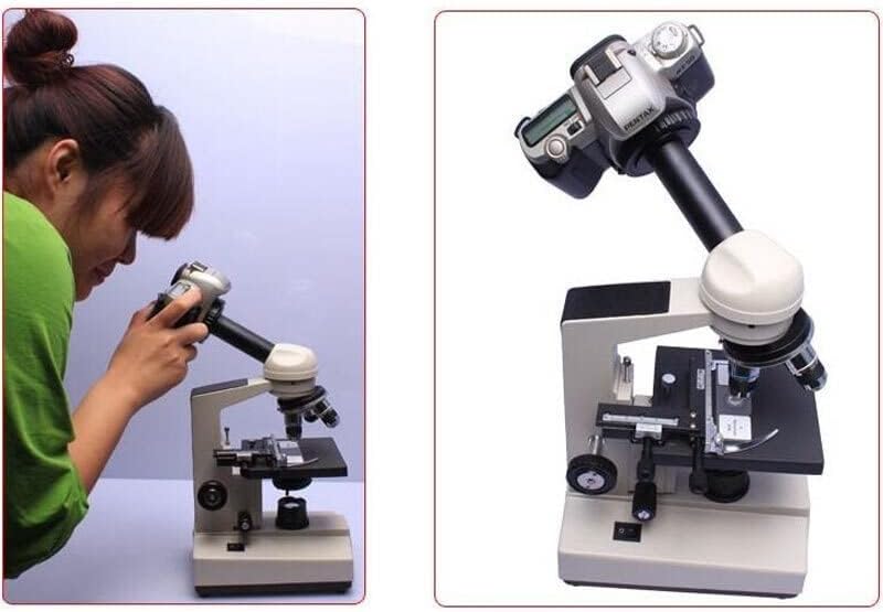 Kit de acessórios para microscópio para adultos microscópio SLR DSLR Câmera Connecte o adaptador de montagem Adaptador laboratório
