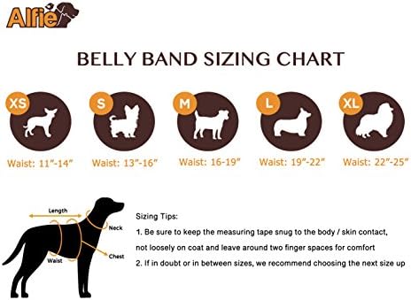 Alfie Pet - Tad Belly Band 3 Peças Conjunto - Tamanho: XL