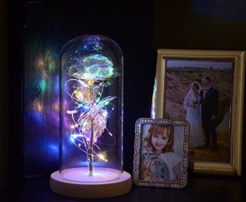 Rose Flower in Glass Dome com luzes de cordas LED Gifts exclusivos para casamento e casamento de aniversário, Dia dos Namorados,