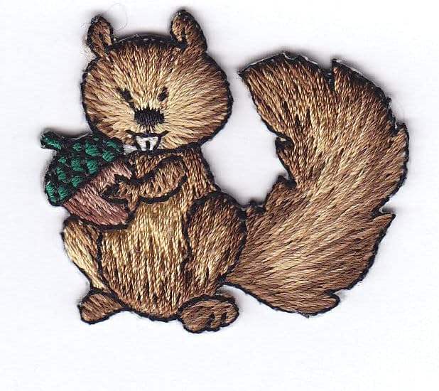 Esquilo com bolota de ferro na floresta de patches