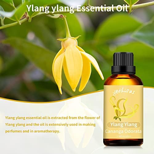 Pacote de óleo essencial de baunilha com óleo essencial ylang puro e natural ylang ylang essencial oill para difusor, pele,