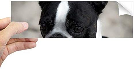 Dihythinker Bulldog animal animal escuro imagem retangular adesivo de notebook Decalque de janela