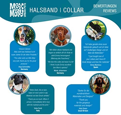 Max & Molly Dog & Puppy Collar com fivela de potência, estilo divertido para cães pequenos, médios, grandes e filhotes, à prova