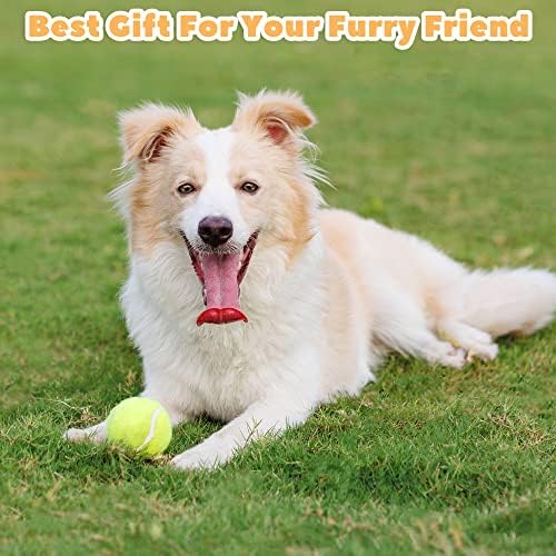 Bolas de tênis de cães Hunbinor, 12 pacote de tênis de pet -pet de 12 pacote para cães, brinquedos interativos para cães para cães grandes, cães médios e cães pequenos, bolas de tênis de tamanho médio para jogar e buscar jogo de busca