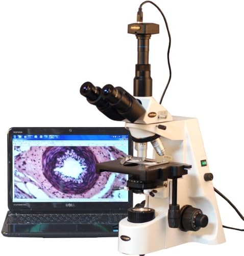 Microscópio de composto trinocular digital T690C-PL-PL-5M, ampliação de 40x-2500x, oculares super em campo de Wh10x