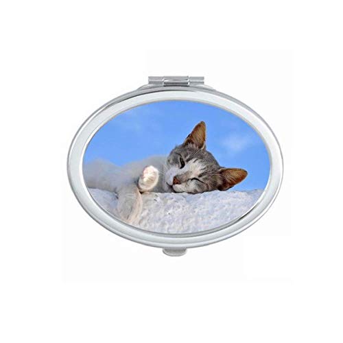 Kitty gato animal de estimação Relax sono animal animal adorável espelho portátil dobra maquiagem de mão dupla lateral óculos
