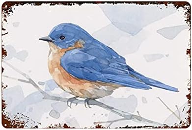 Miaoquhe Blue Bird Bircolor Novelty sinal