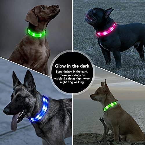 Azivipet recarregável de colarinho de cachorro LED, brilho no colarinho de cachorro à prova d'água escuro, colarinho de cachorro iluminado para cães pequenos médios grandes, colarinho de cachorro para caminhada noturna, verde, pequeno