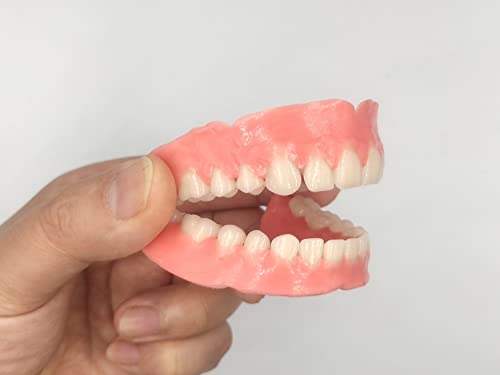 A dentadura faça você mesmo um conjunto completo de dentes falsos superior e inferior para melhorar o sorriso
