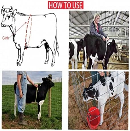 Quilograma de fazenda profissional Medir fita de 2,5m de altura de peso, medição de centímetros governante para vacas de porco