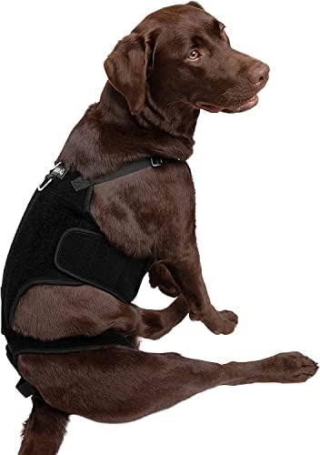 Labra Dog Canine K9 Back Brace - Dor da coluna vertebral e lesão na coluna