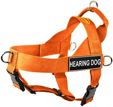 Dean & Tyler DT Universal No Pull Dog Arnness com manchas de cães ouvindo, laranja, pequeno