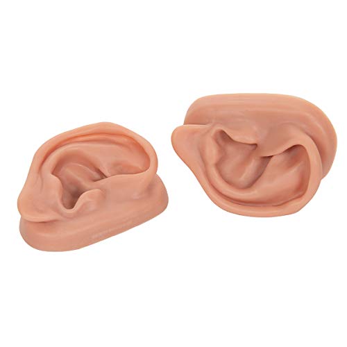 3b Scientific N15 Silicone 2 Acupuncture Ears Model, 3,7 x 2,4 x 1,6