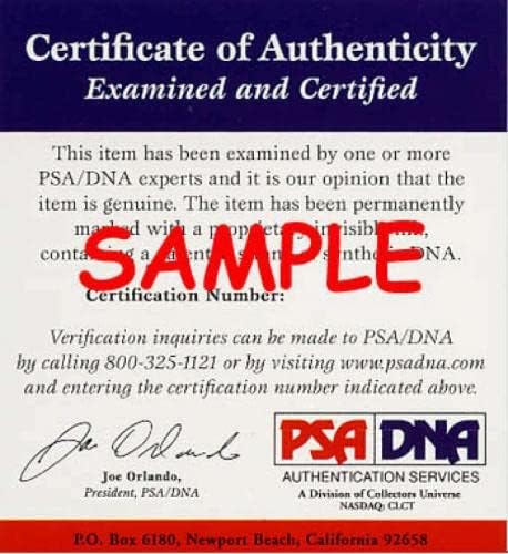 Dan Quisenberry PSA DNA CoA Autograph American League Oal Baseball - Baseball autografado