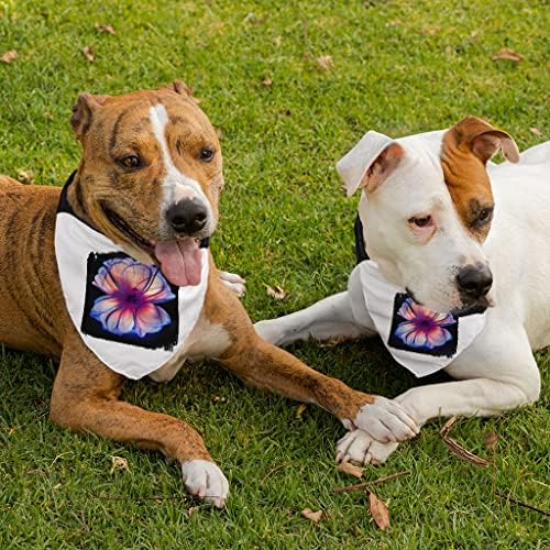 Flower Print Pet Bandana Collar - Collar de cachecol abstrato - Arte Dog Bandana - XL