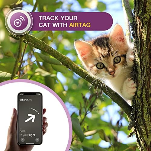 Airtag Cat Collar, novo colar de gato de tags de maçã integrado, colar reflexivo de gato com suporte de airtag e sino, colarinho de