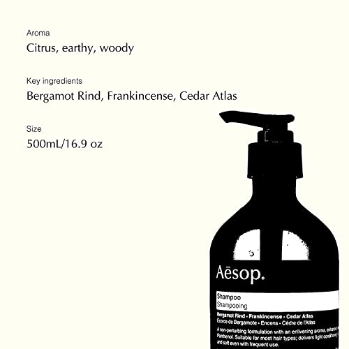 Shampoo esopo | 500ml/16,9 oz shampoo e tratamento de couro cabeludo seco